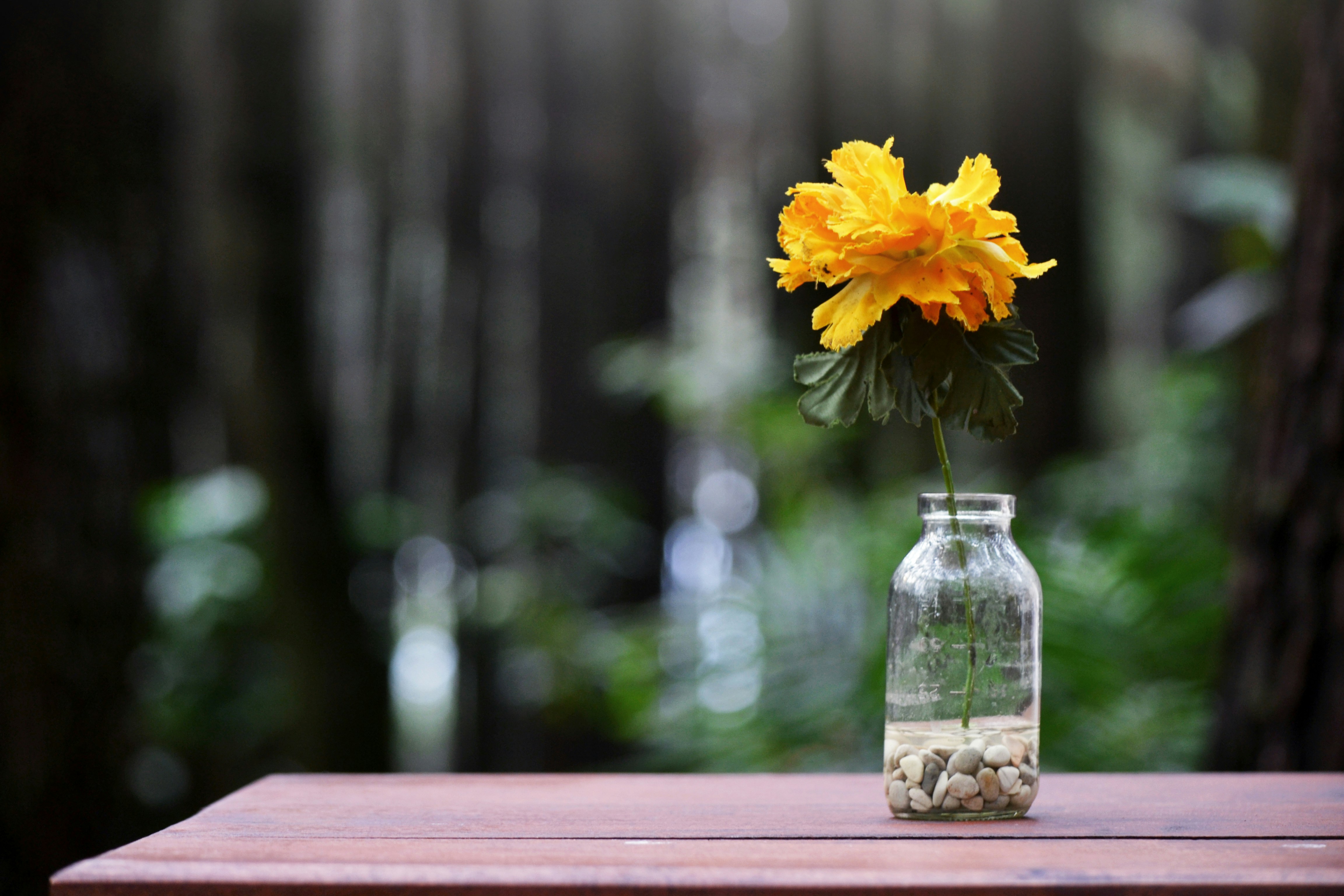 Free Unsplash photo from Muhammad Isnan Prayogi