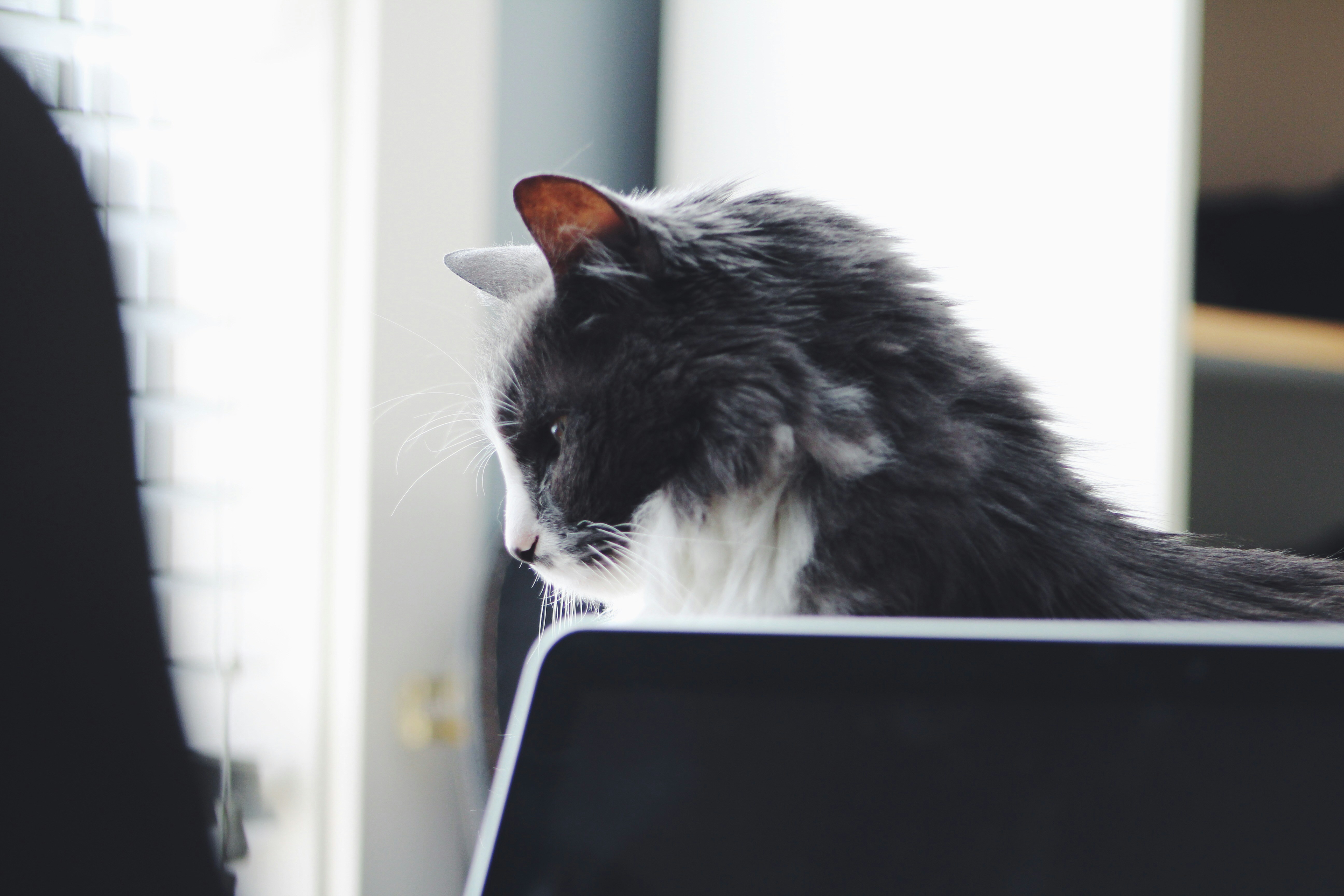 Free Unsplash photo from Chance Anderson