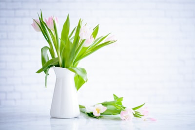 pink tulips on white vase fresh teams background