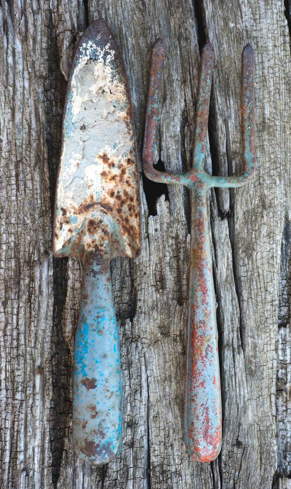 two assorted gardening tools