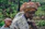 woman carrying baby on back