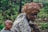 A woman is carrying a sleeping baby on her back using a patterned cloth wrap. She wears a vibrant, multicolored head wrap and a floral-patterned blouse. The background is a lush, green environment that resembles a natural or rural setting.