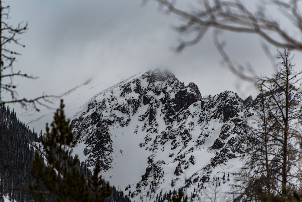 landscape of mountain covered with snow