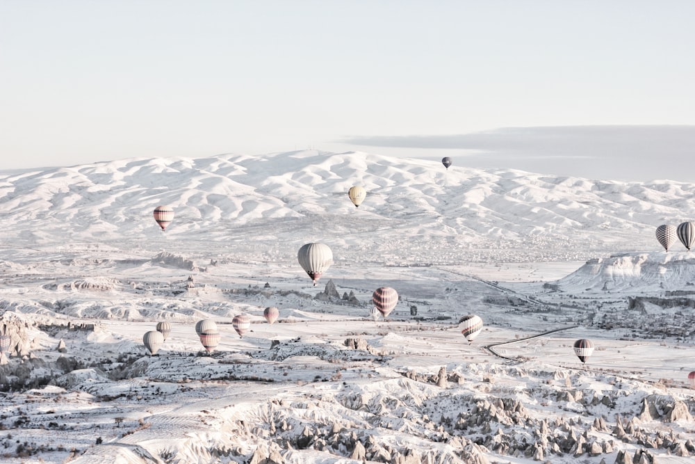 globos aerostáticos de colores variados debajo de la nieve durante el día