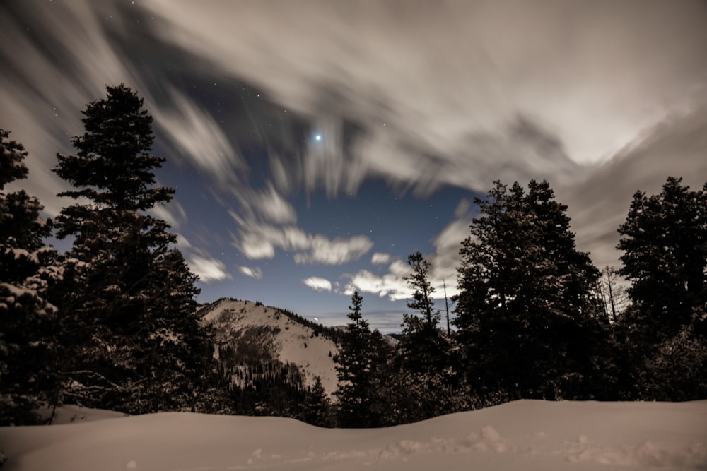 trees overlooking snow capped mountain in time lapse photography