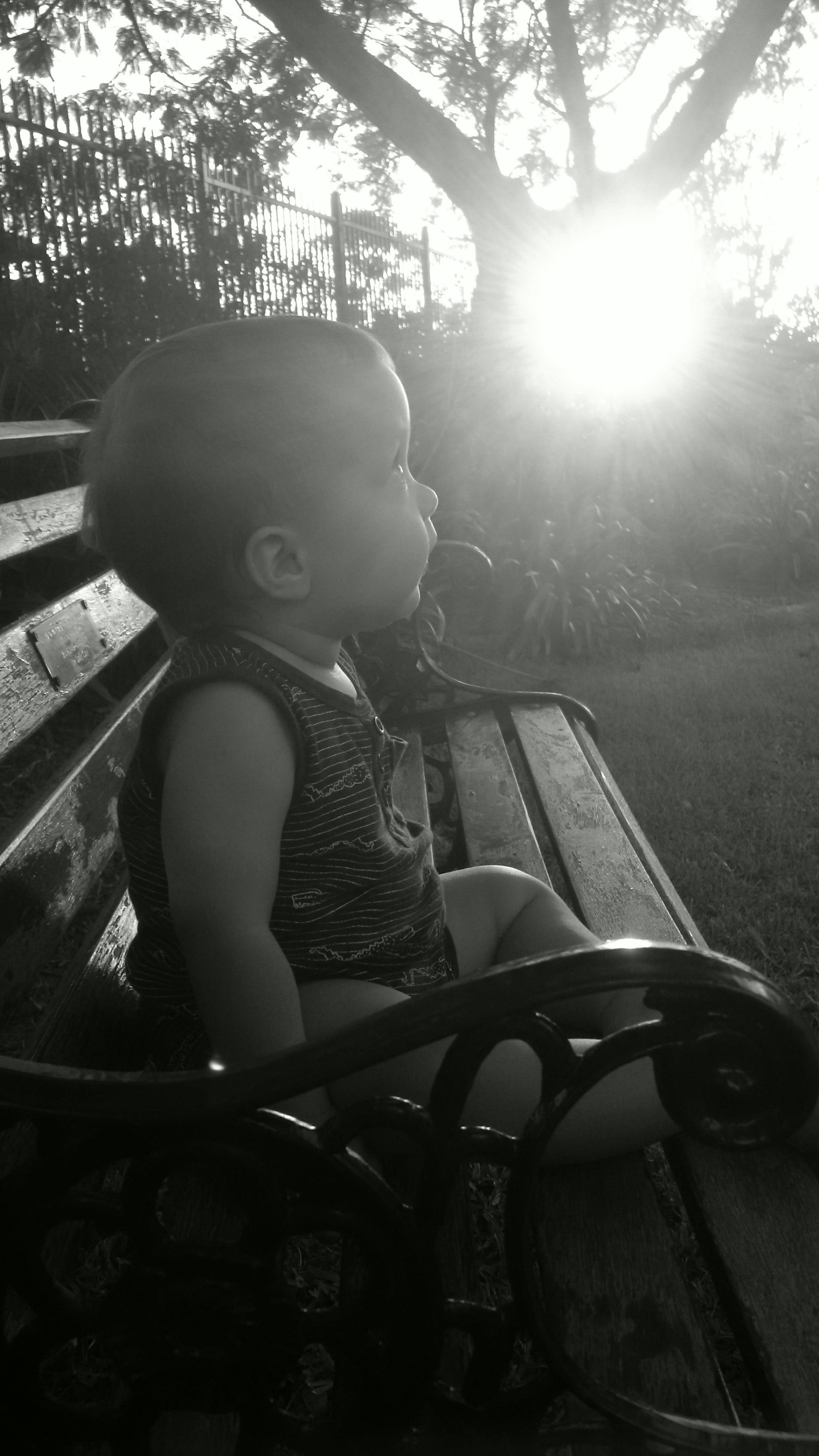 Free Unsplash photo from Kori Archer