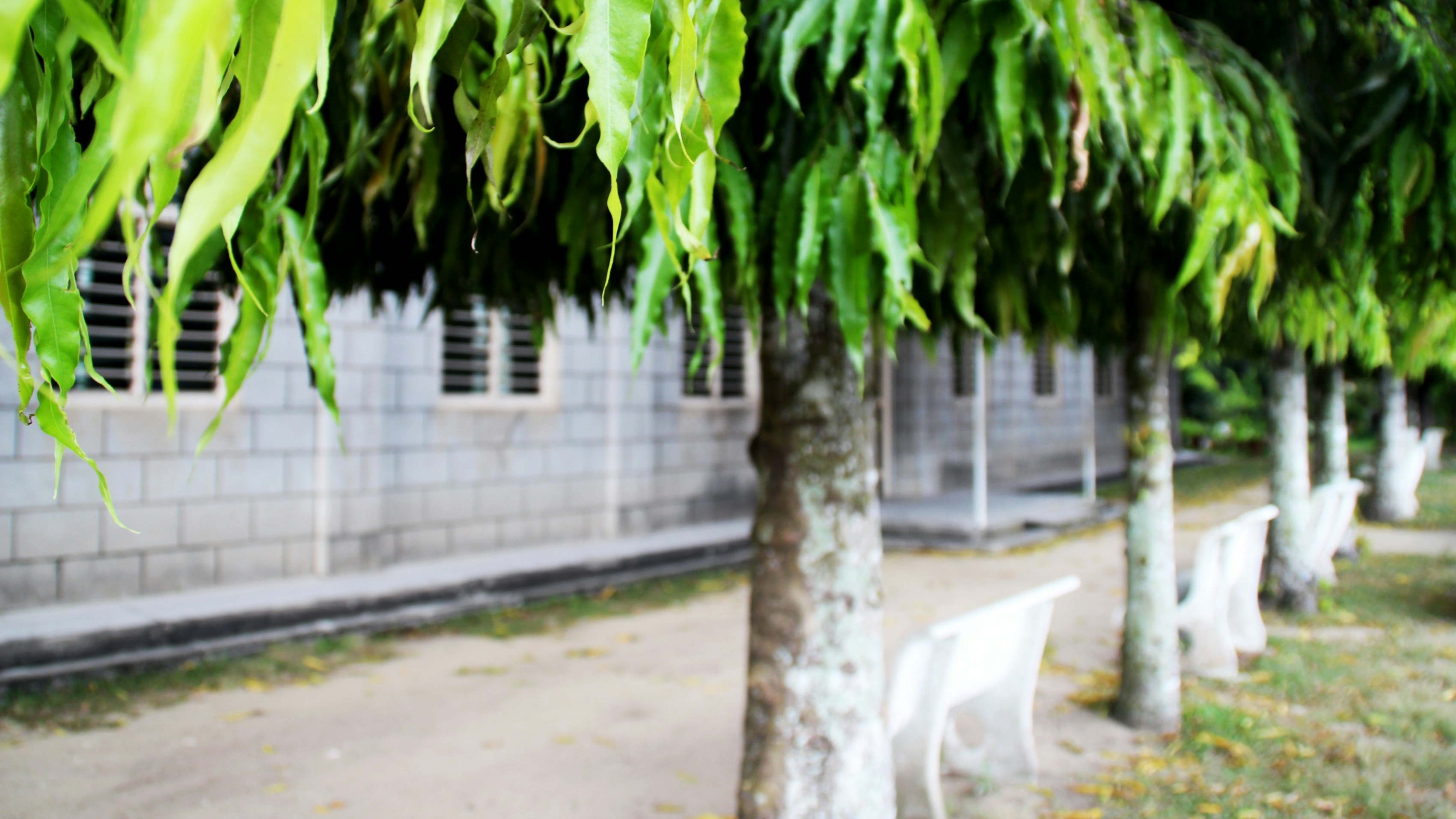 Free Unsplash photo from Vincent Chin