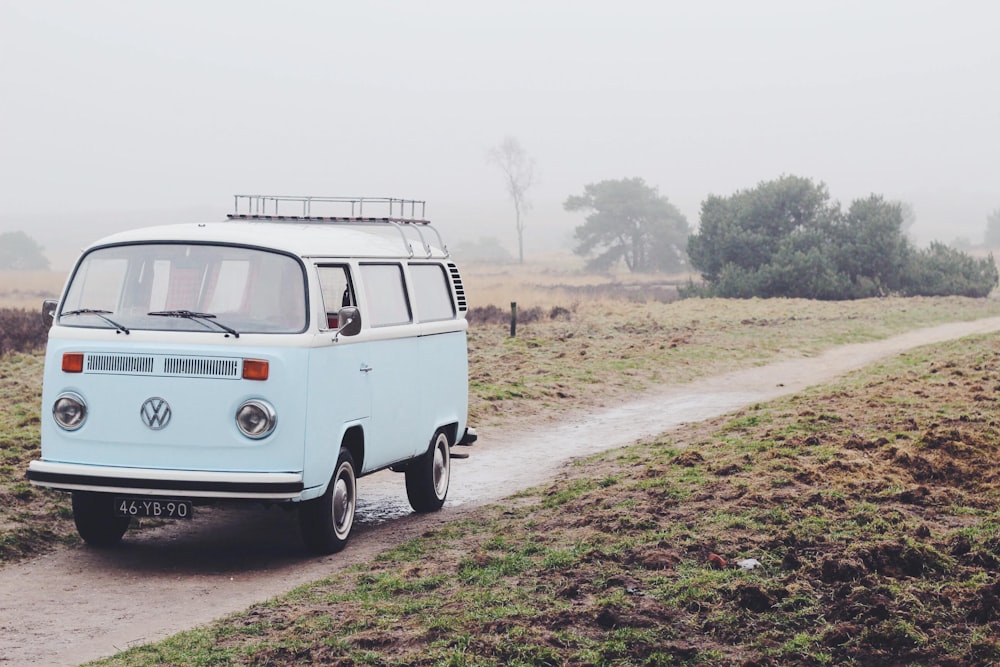 gray Volkswagen van parking in between green grass field