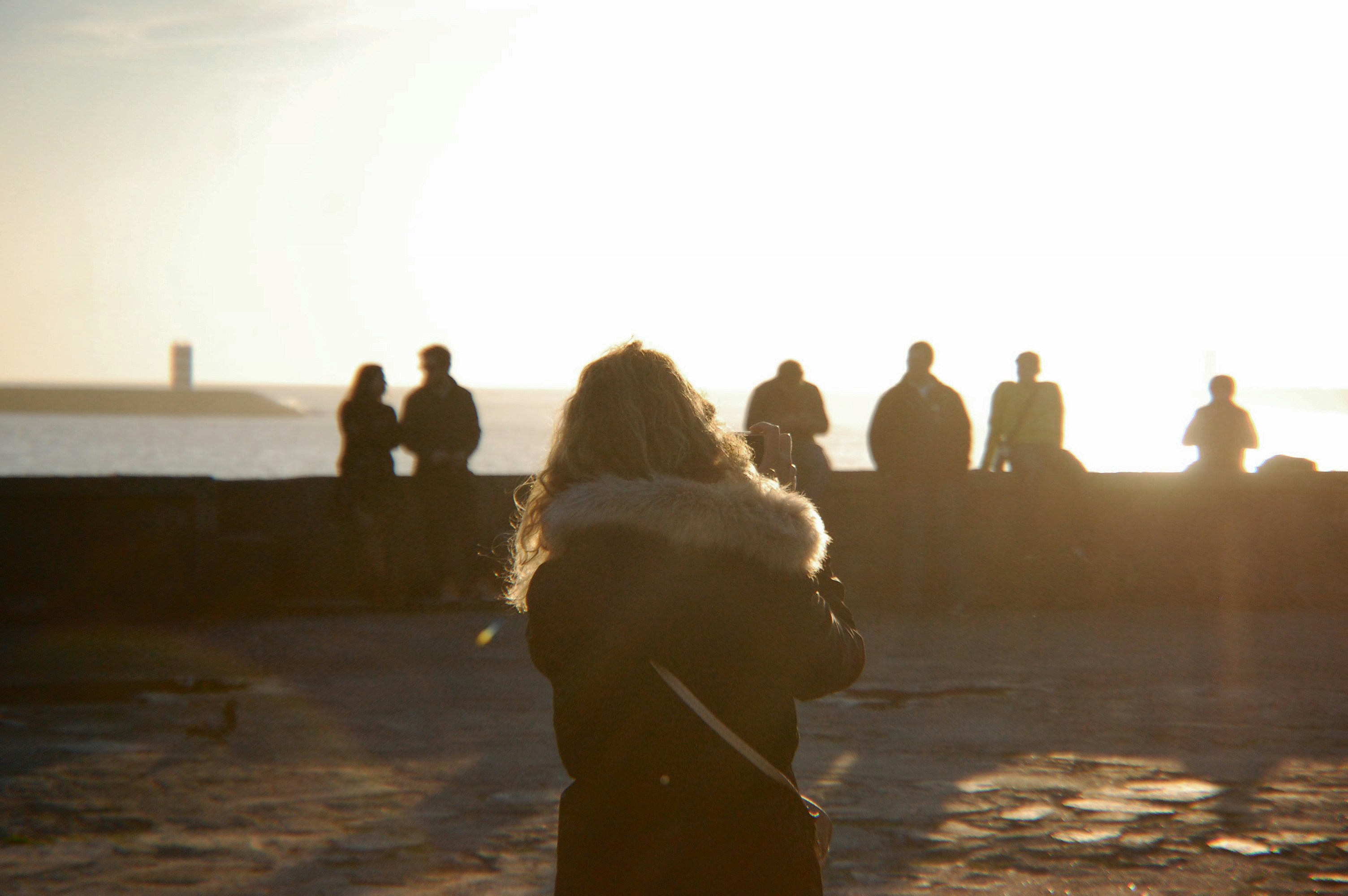 Free Unsplash photo from Diogo Palhais