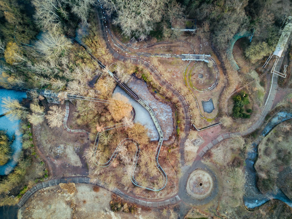 bird's eye view photo of body of water and trees