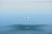 A white drone hovers above a serene body of water, creating gentle ripples on the surface. The background showcases a calm horizon with a slight gradient in the sky, and distant land can be faintly seen.