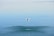 A white drone hovers above a serene body of water, creating gentle ripples on the surface. The background showcases a calm horizon with a slight gradient in the sky, and distant land can be faintly seen.