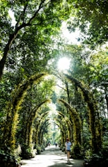 Guests walking along a green forest path with a guide pointing out plants under soft sunlight.
