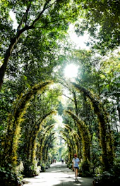 Guests walking along a lush forest trail surrounded by tall trees and birds.