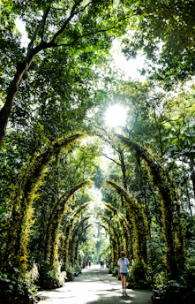 A vibrant green forest trail in Taman Wisata Kableki with visitors enjoying a sunny day.