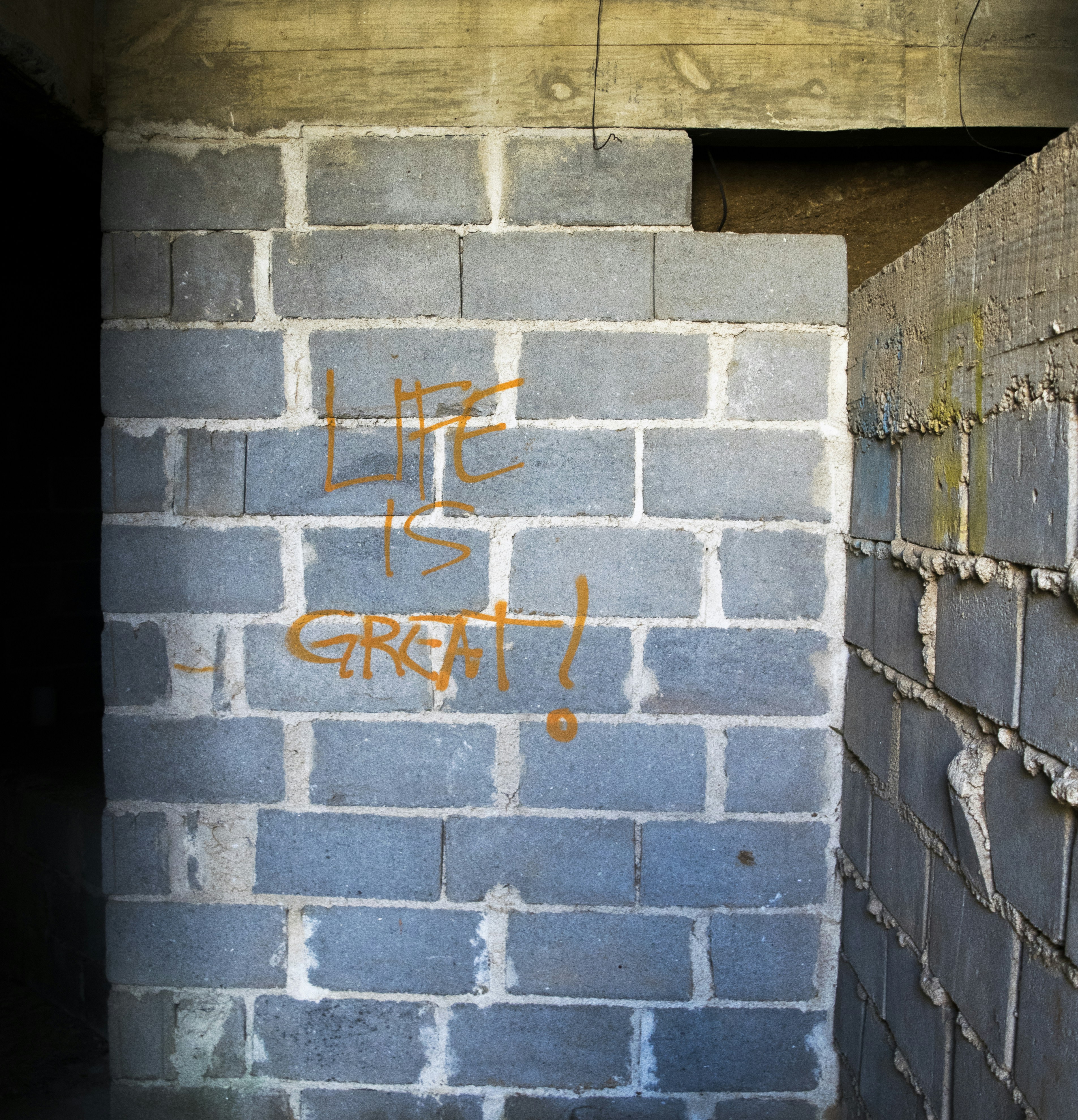 Free Unsplash photo from Filippo Pugliatti