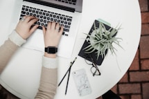 person using laptop computer beside aloe vera