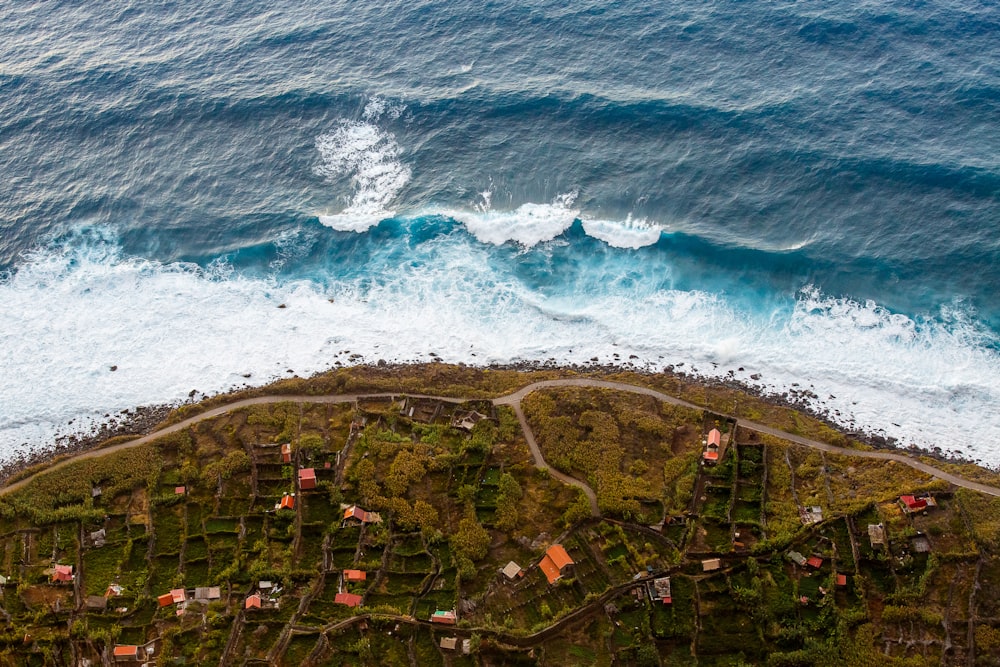 ocean waves crushing on sea shore