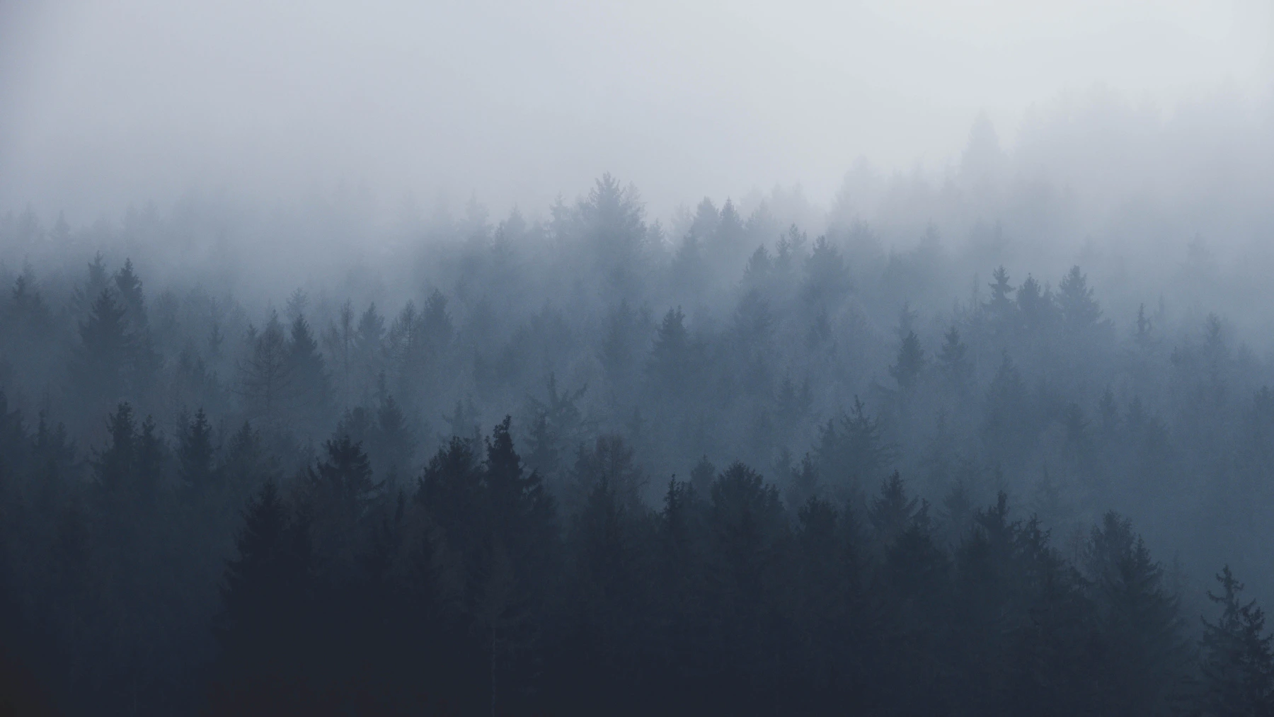 Fog rolling in