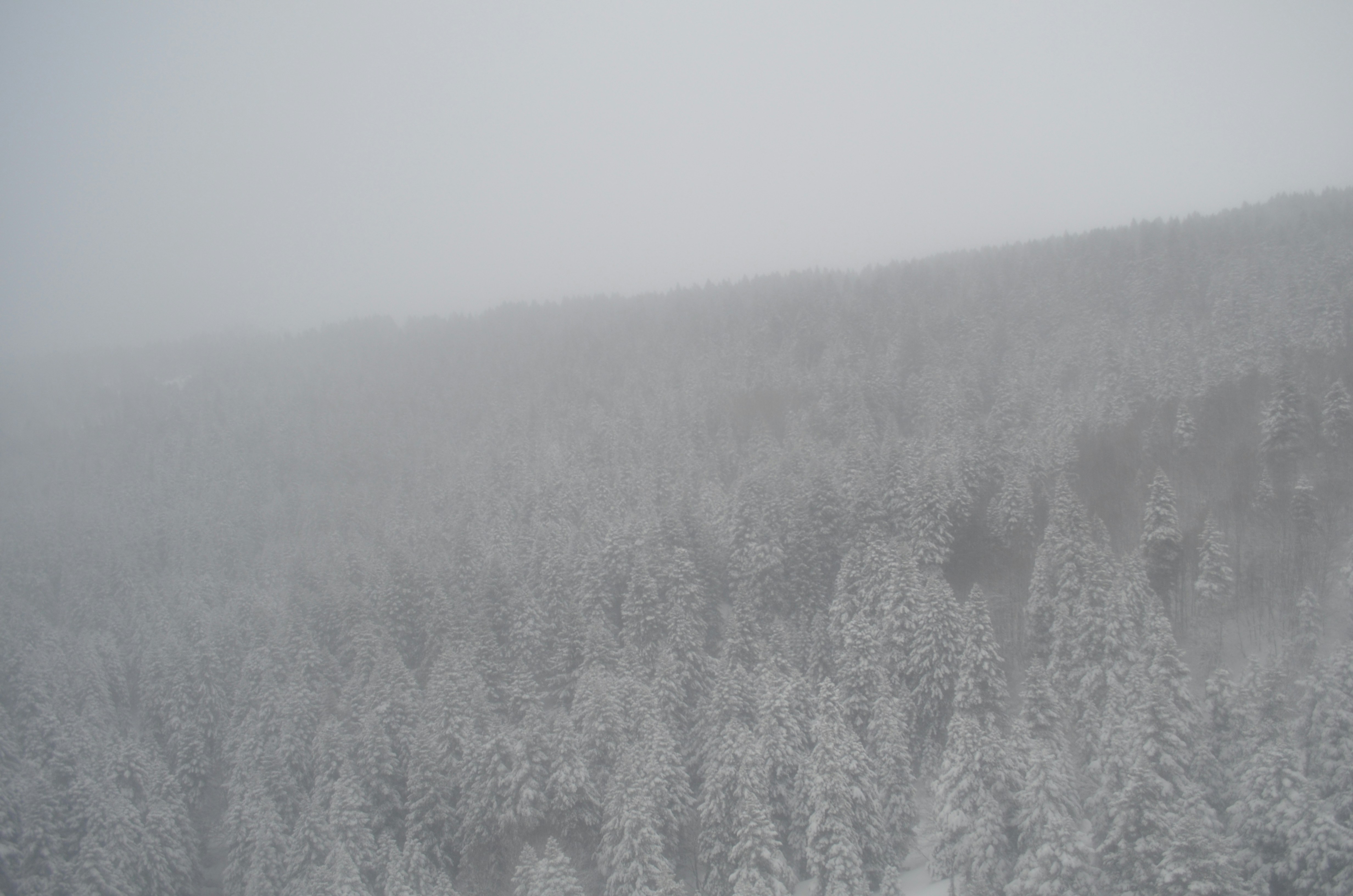 Free Unsplash photo from esat piroglu