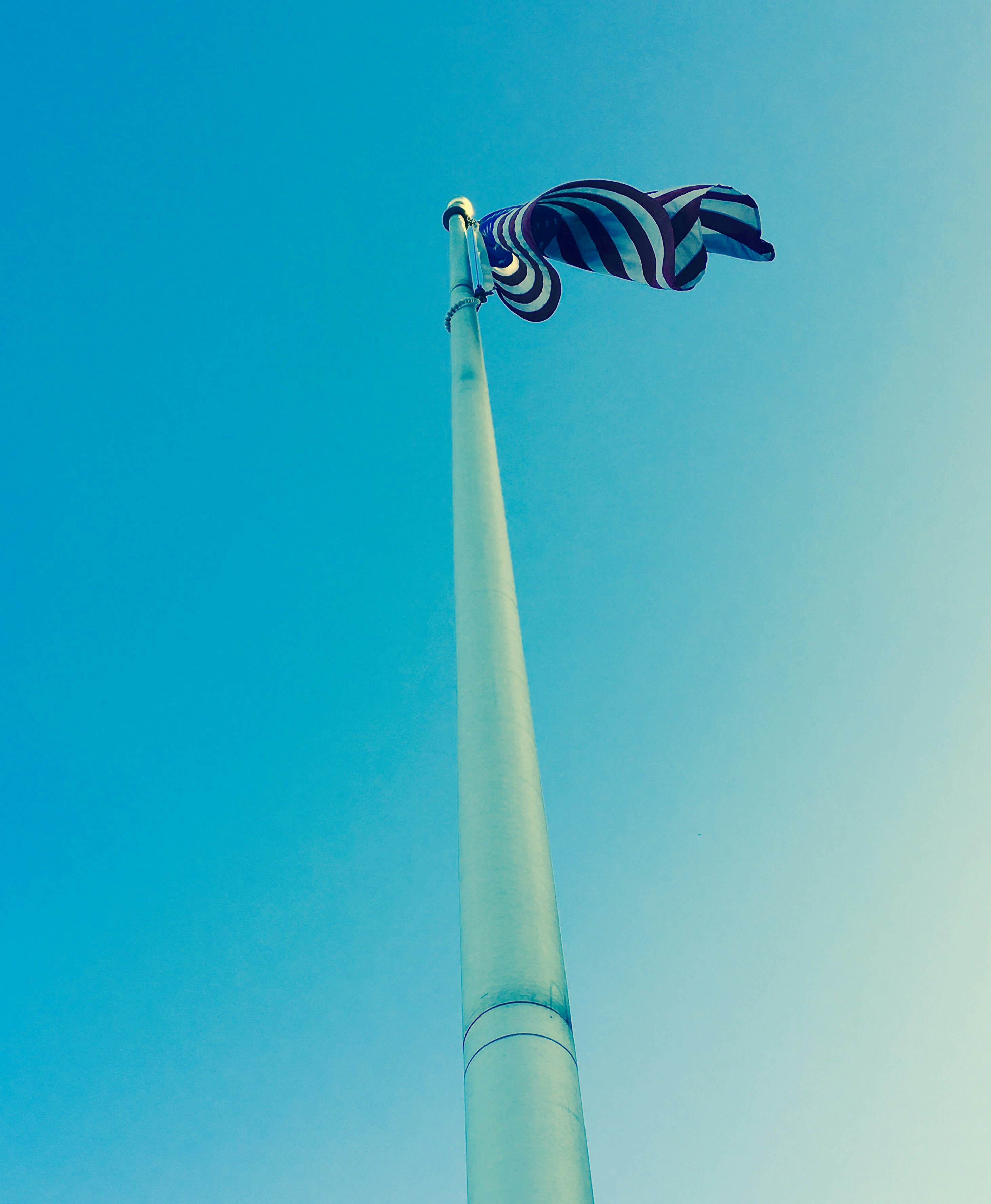 Free Unsplash photo from dsa adssd