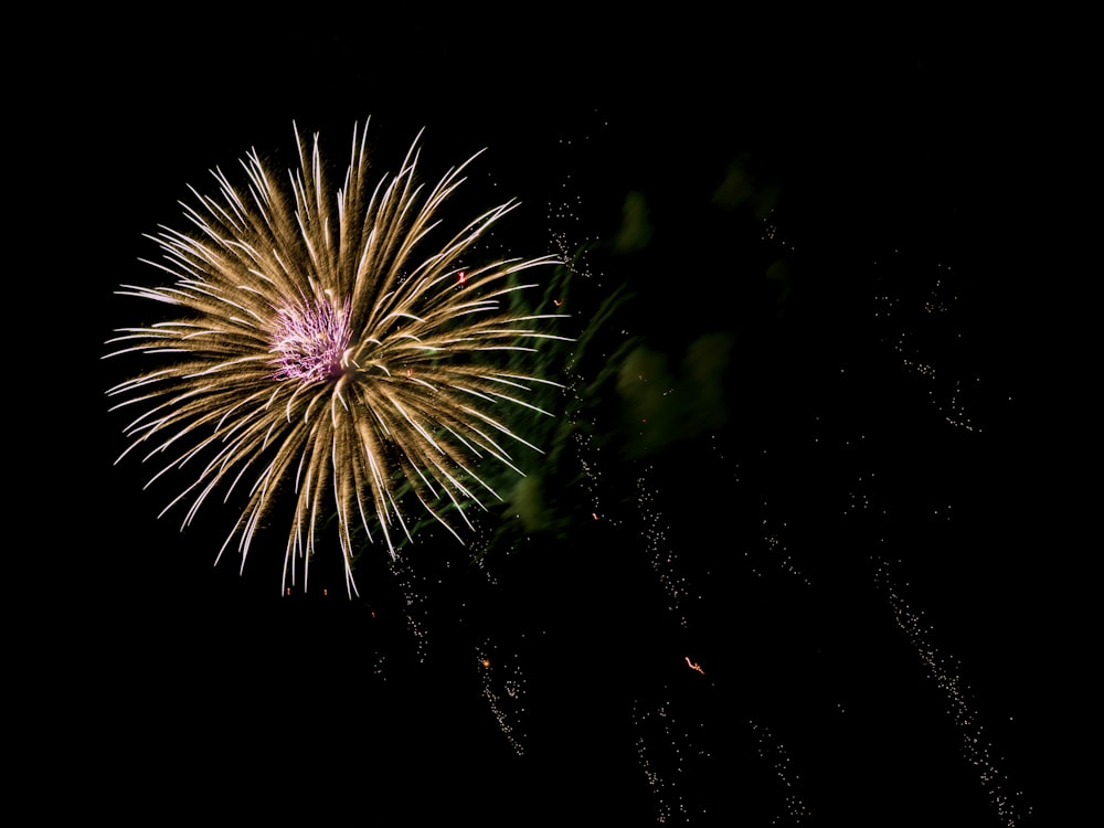 timelapse photo of firework