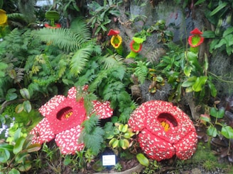 A lush display of greenery and ferns with vibrant, oversized red flowers that appear to be made of a mosaic or Lego-like material. The display includes yellow and red hanging ornaments, adding a touch of color and whimsical design to the natural setting. There is a variety of plants and foliage surrounding the unique flower structures.