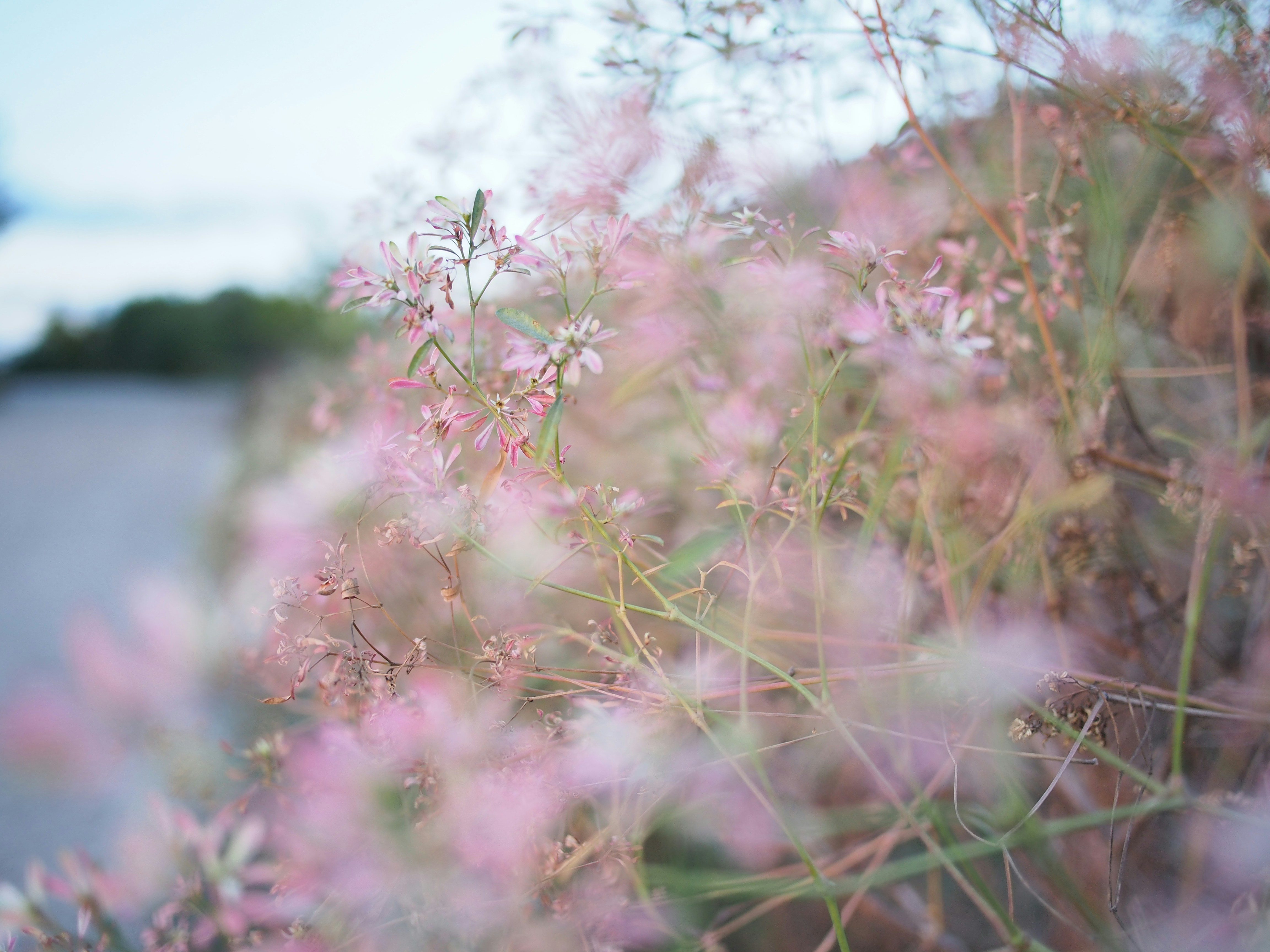 Free Unsplash photo from Jongjit Pramchom