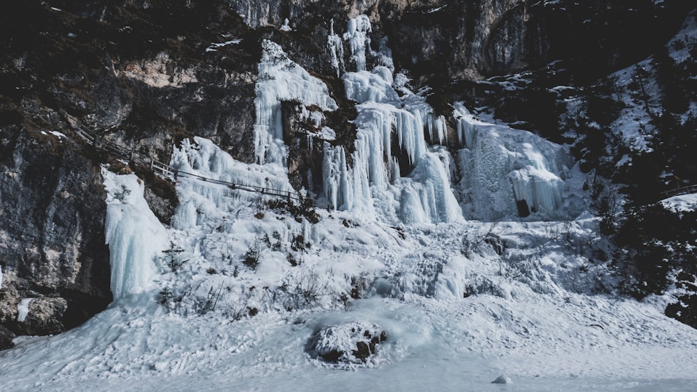 árvores cobertas de neve durante o dia