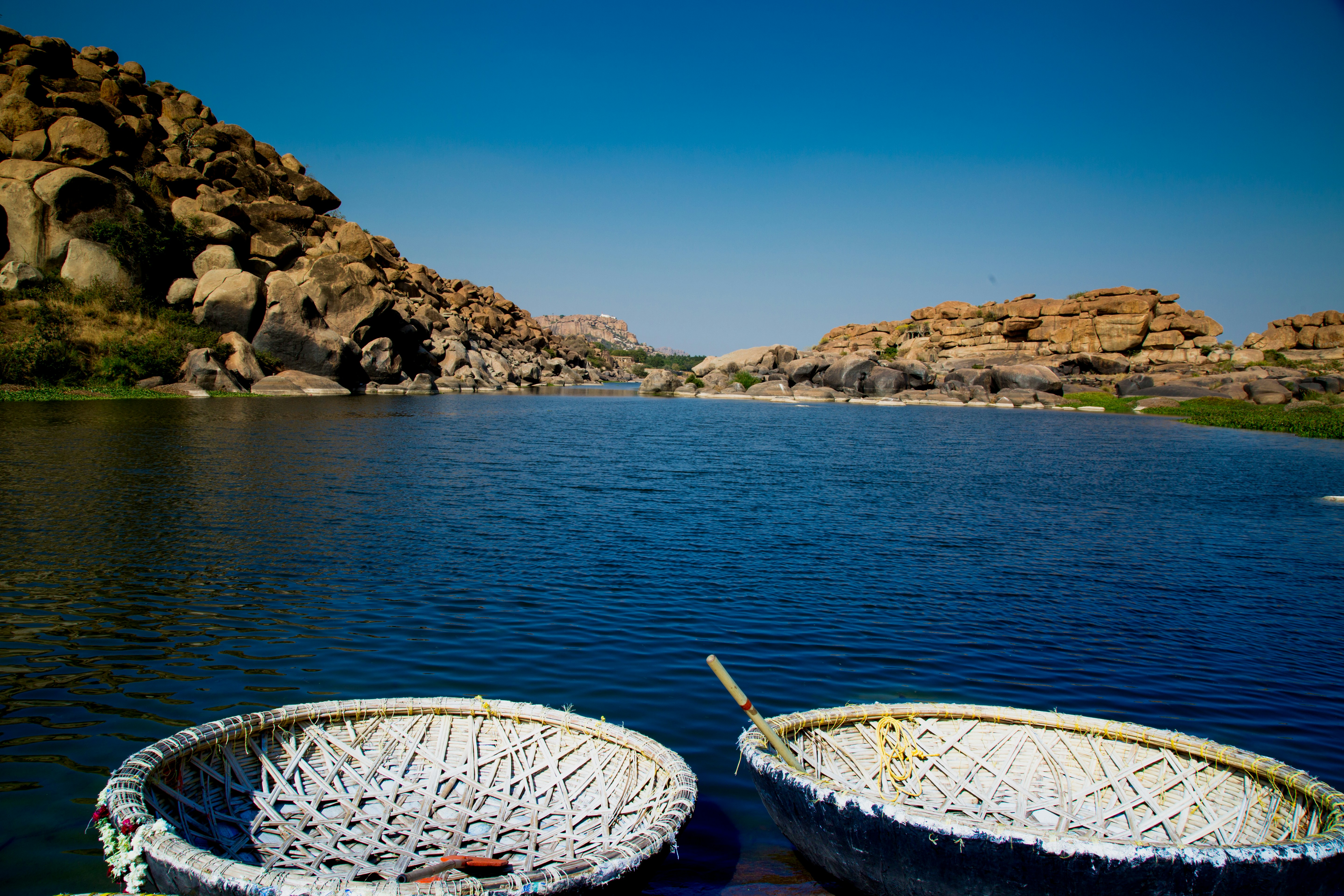 Free Unsplash photo from ravibabu meesala