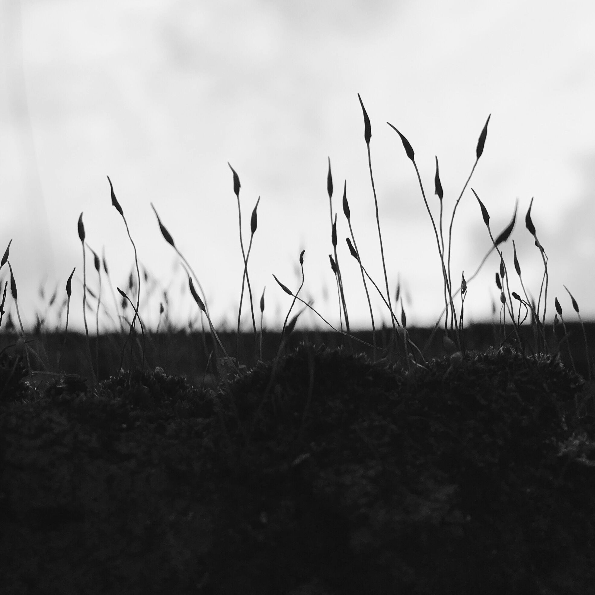 Free Unsplash photo from 泽威 邵