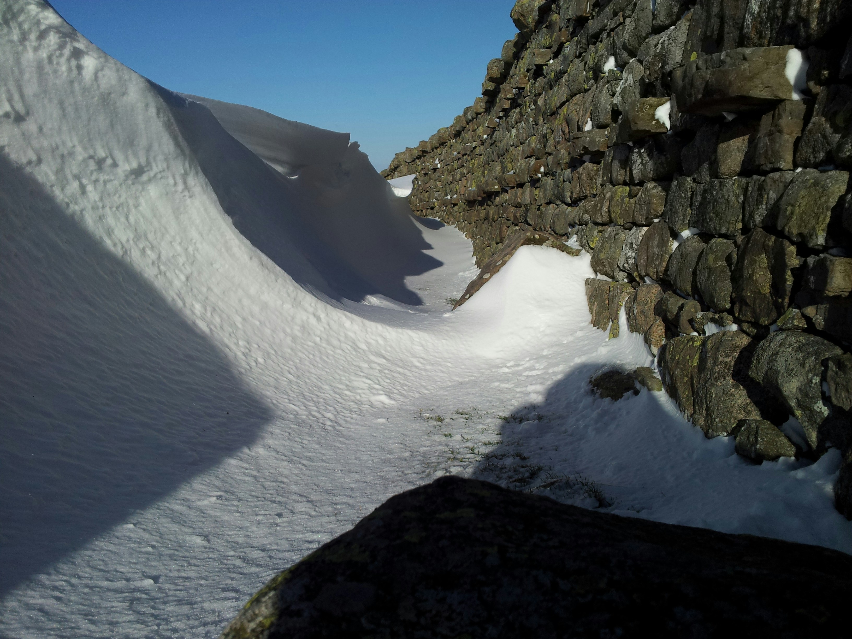 Free Unsplash photo from Ray Cassidy