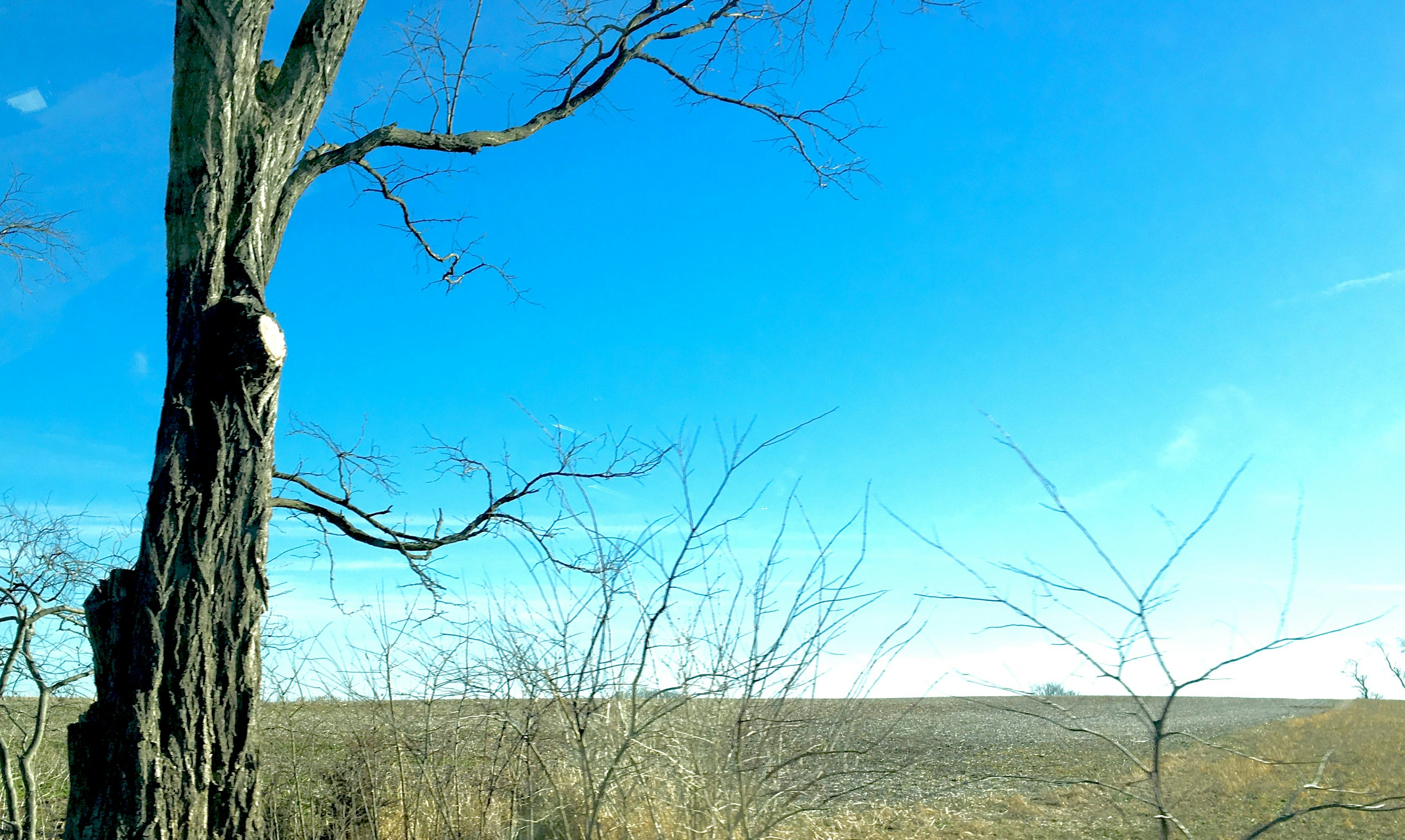 Free Unsplash photo from dsa adssd