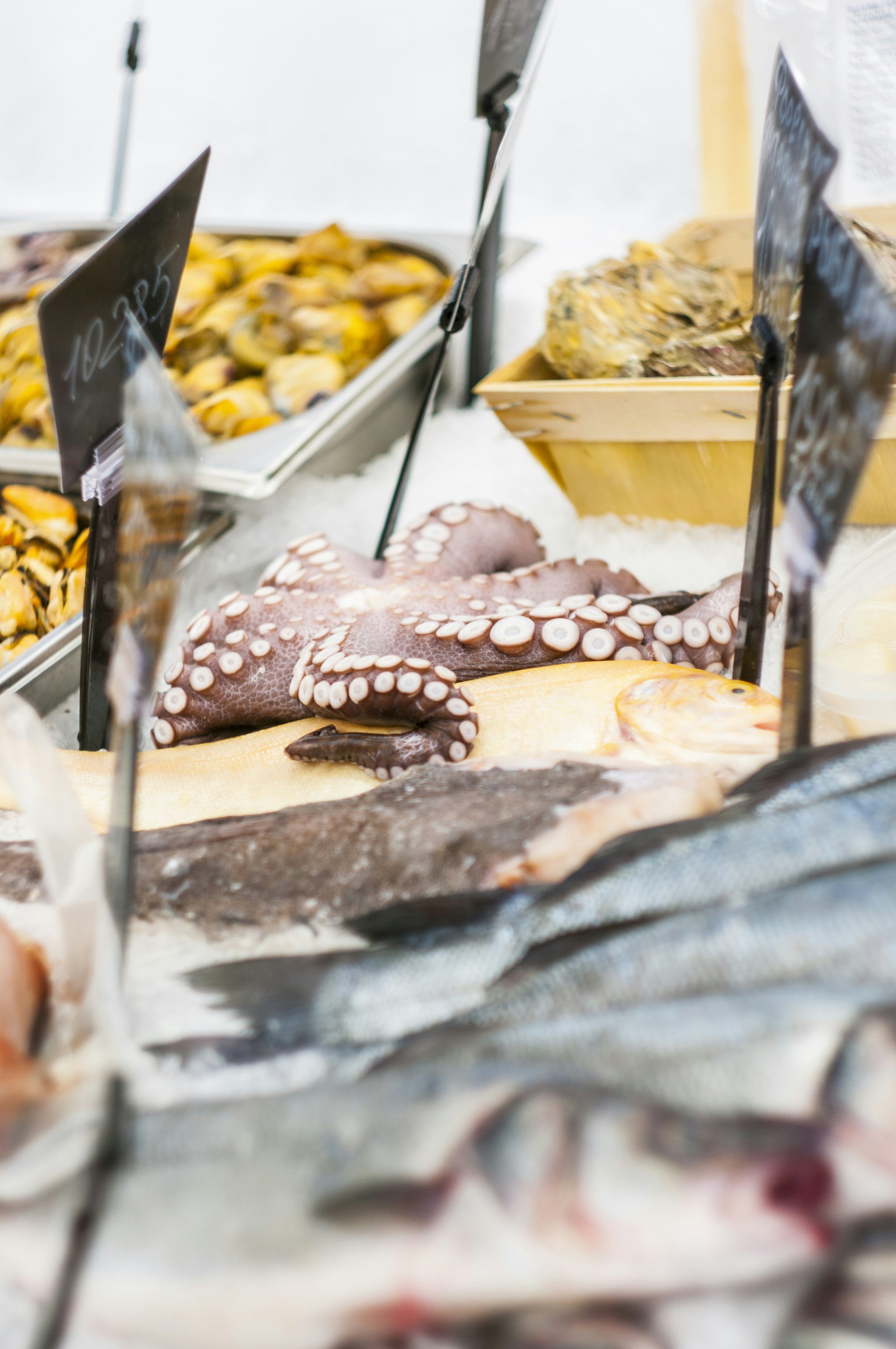 Free Unsplash photo from Anton Barkanto