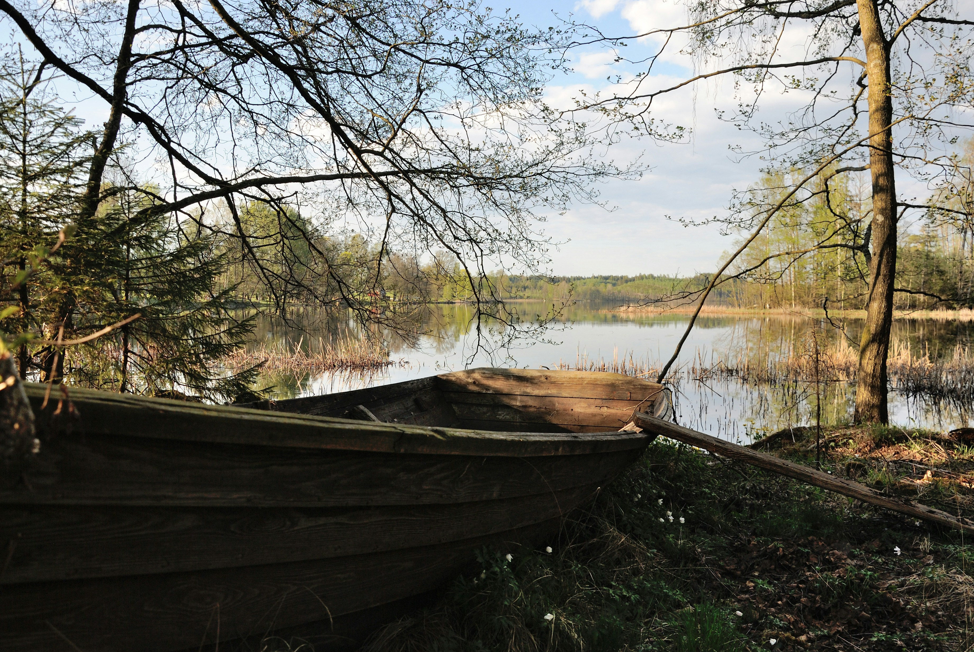 Free Unsplash photo from D M