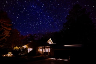 Nighttime shot of a warmly lit country house nestled among tall trees and a starry sky.