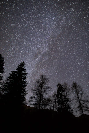 Night sky filled with stars above the lodge, with faint outlines of baobab trees in the foreground.