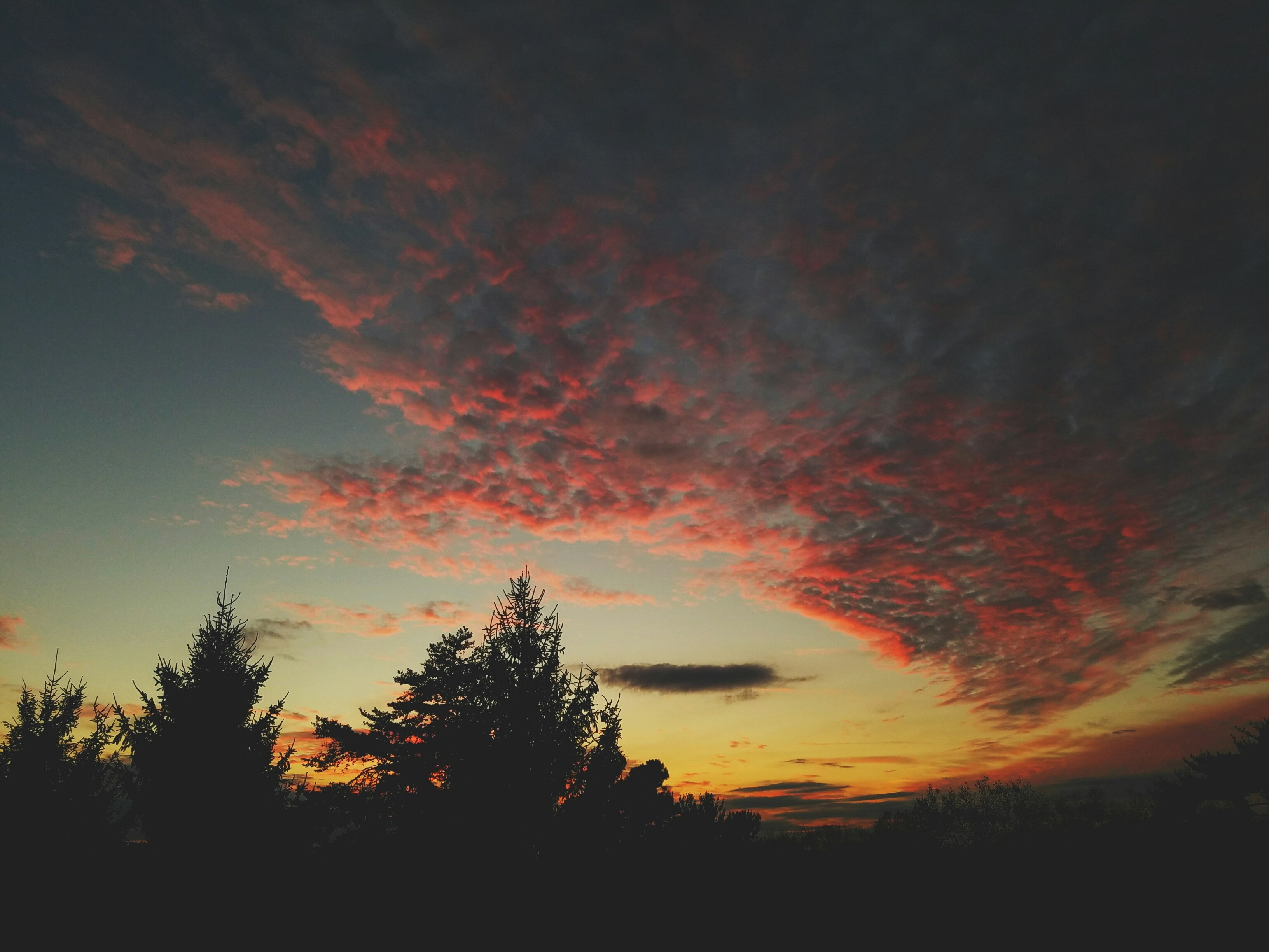 Free Unsplash photo from Michael Marcagi