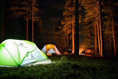 three dome tents with lights on forest beside campfire camping zoom background