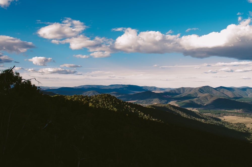 montagne entourée d’herbe