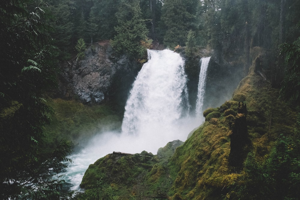 waterfalls in forest