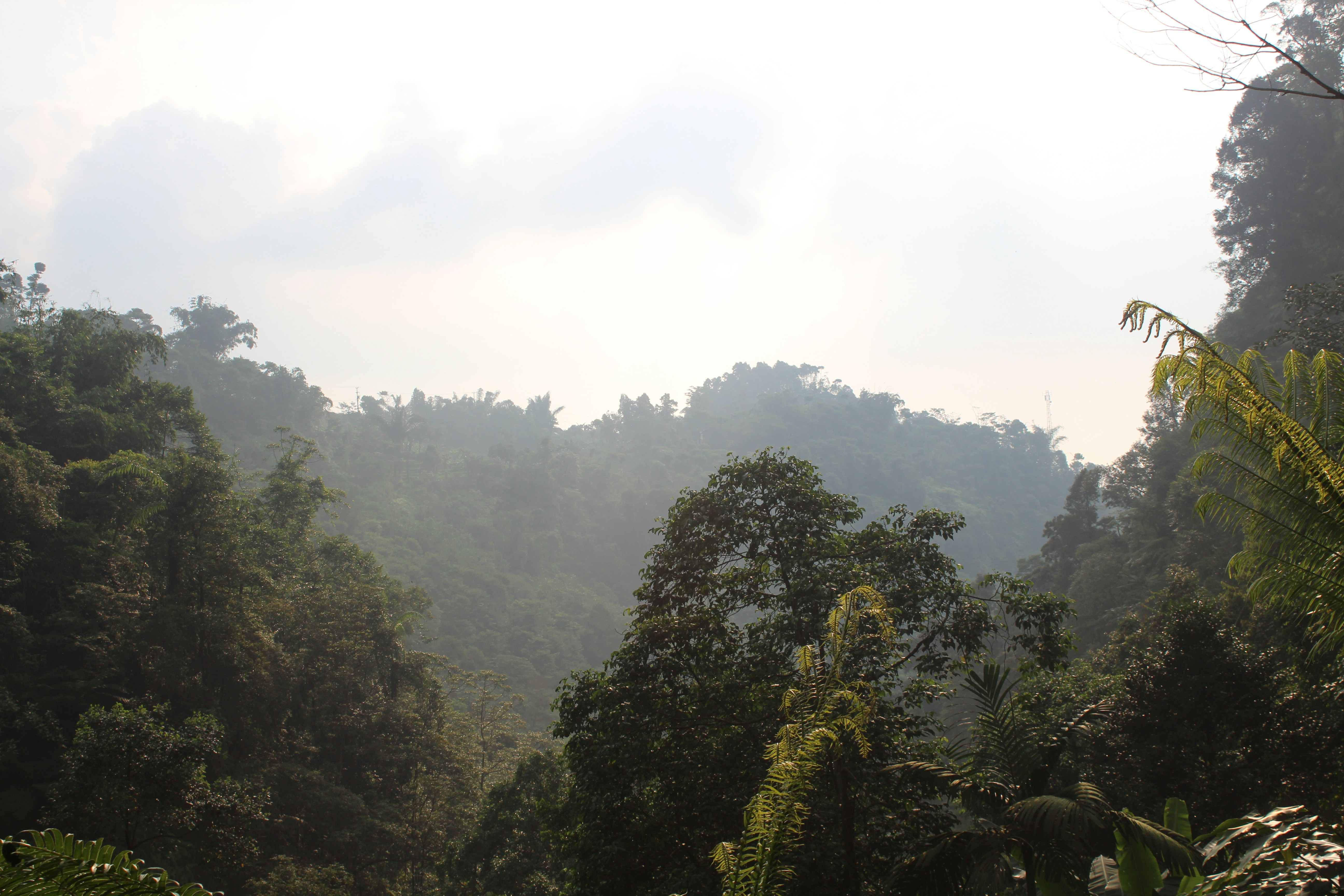 Free Unsplash photo from Miracle Yoel Theofano