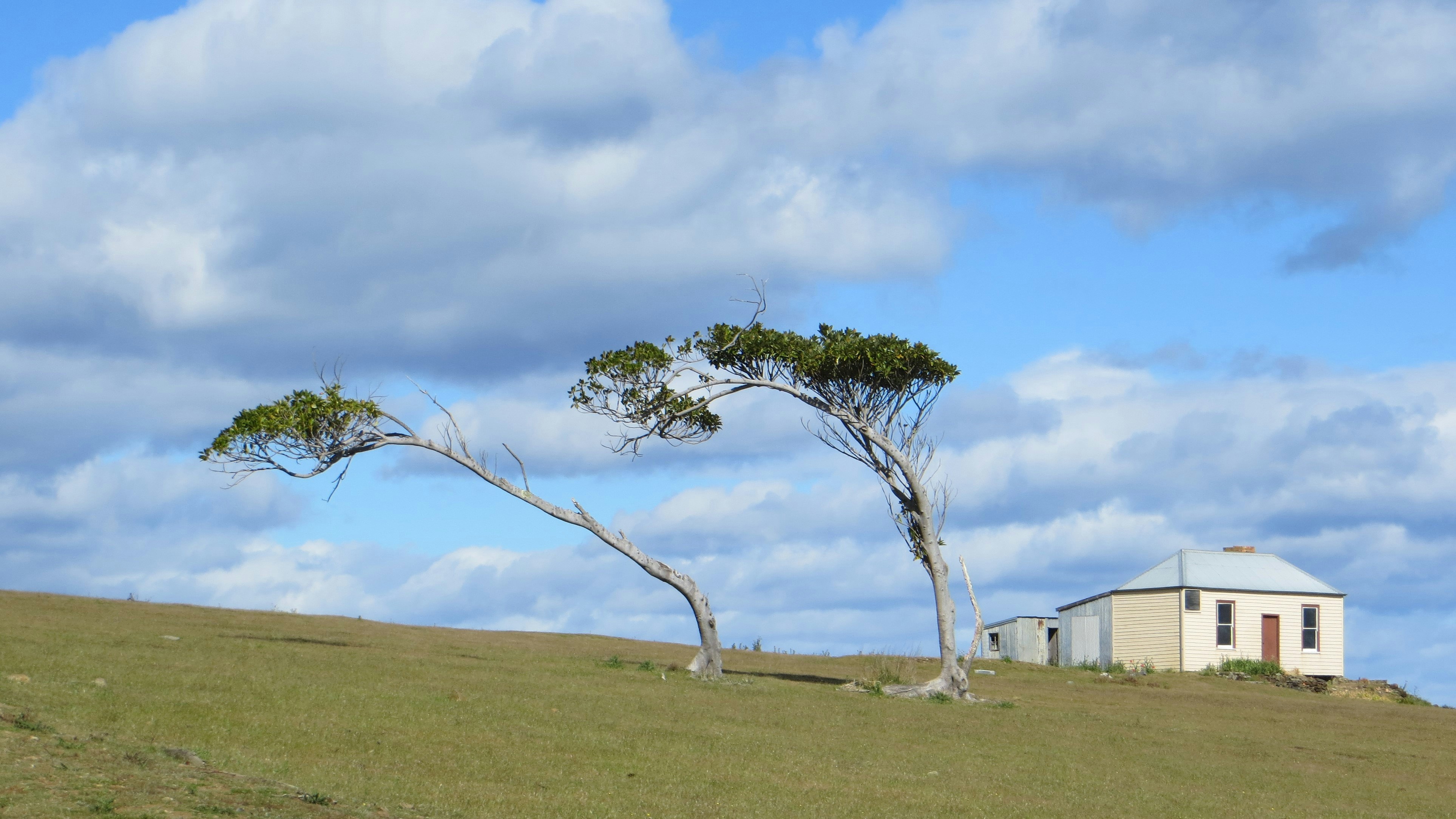 Free Unsplash photo from Peter Millard