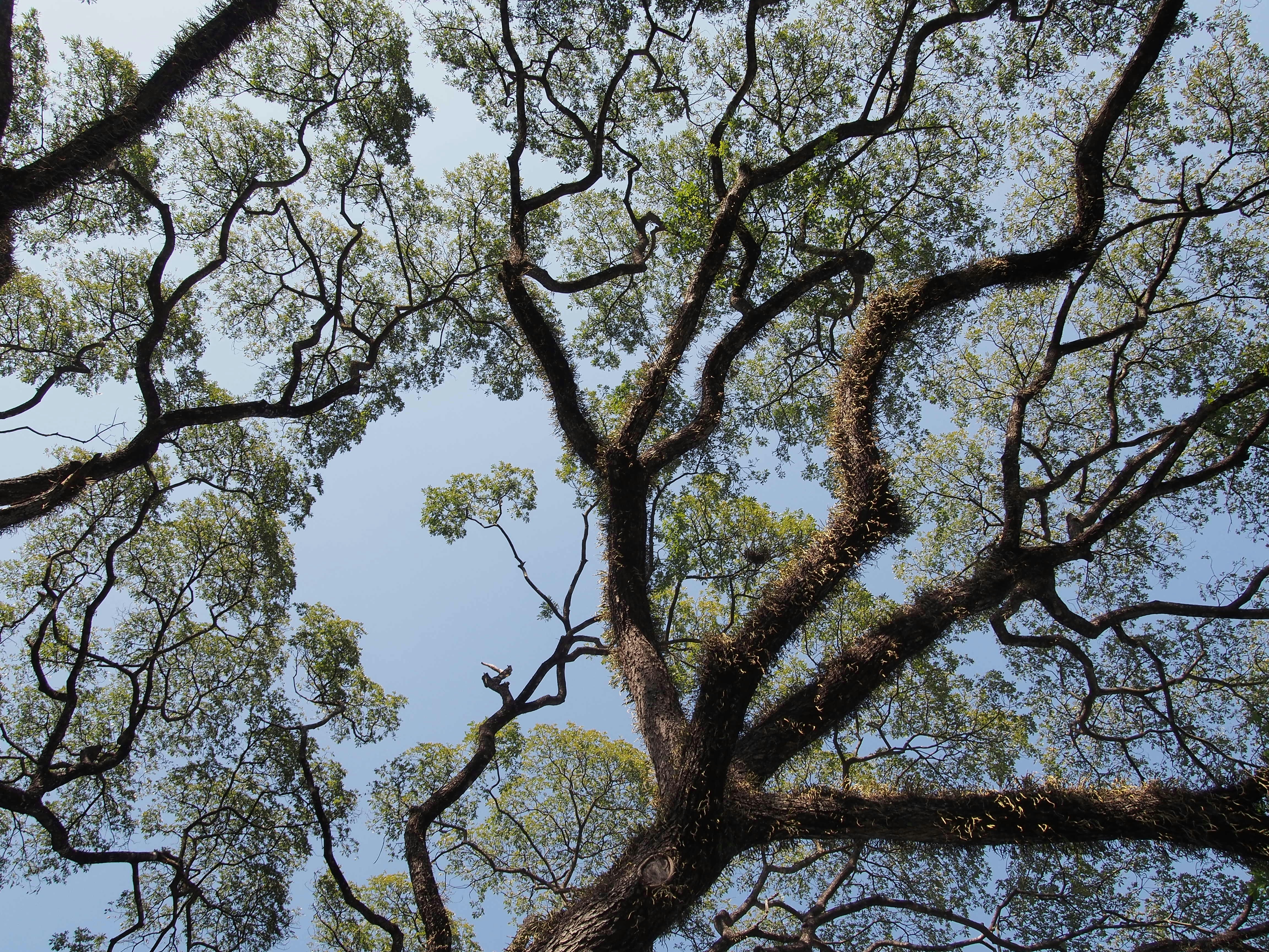 Free Unsplash photo from Jongjit Pramchom