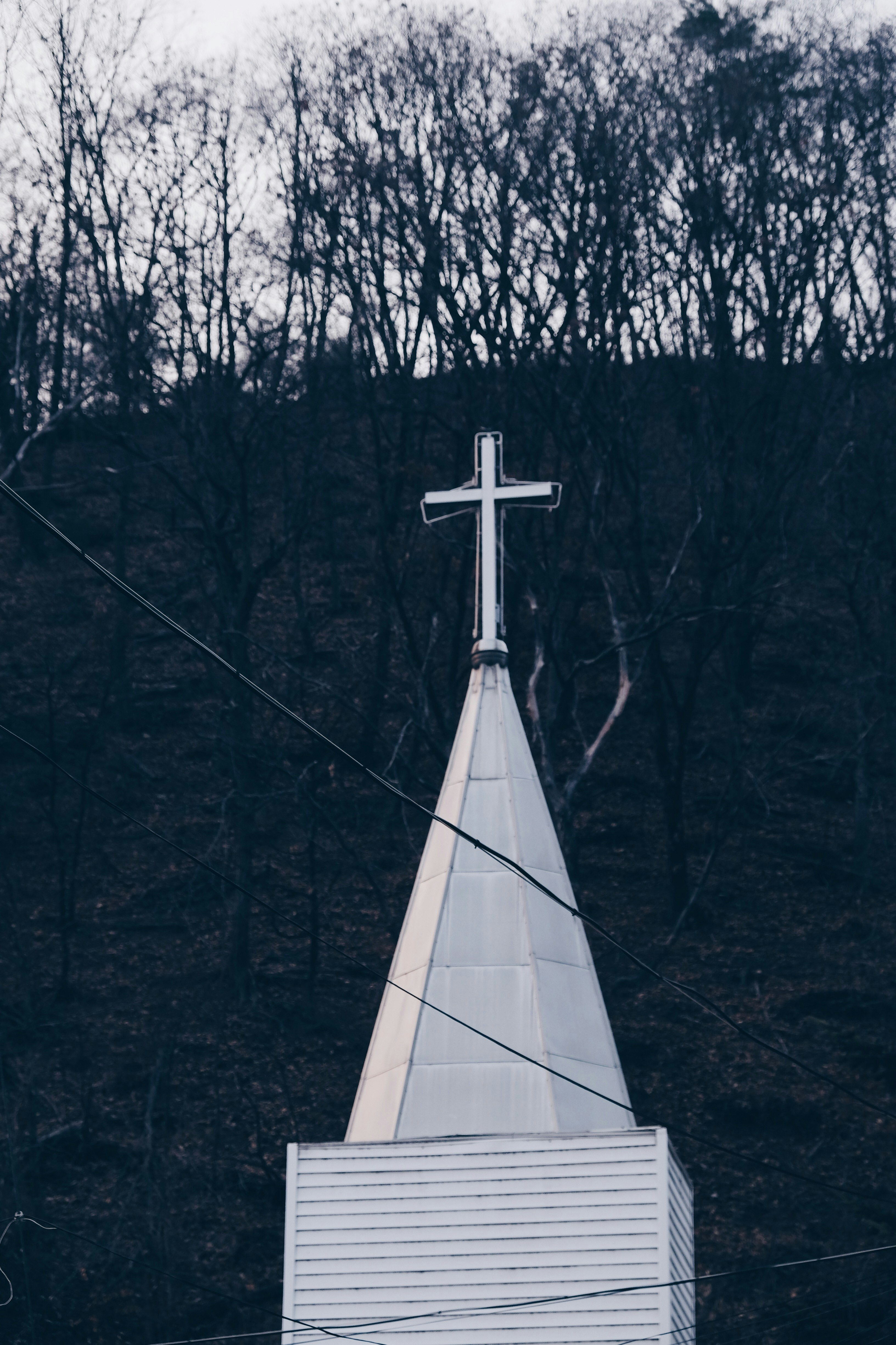 cross near trees