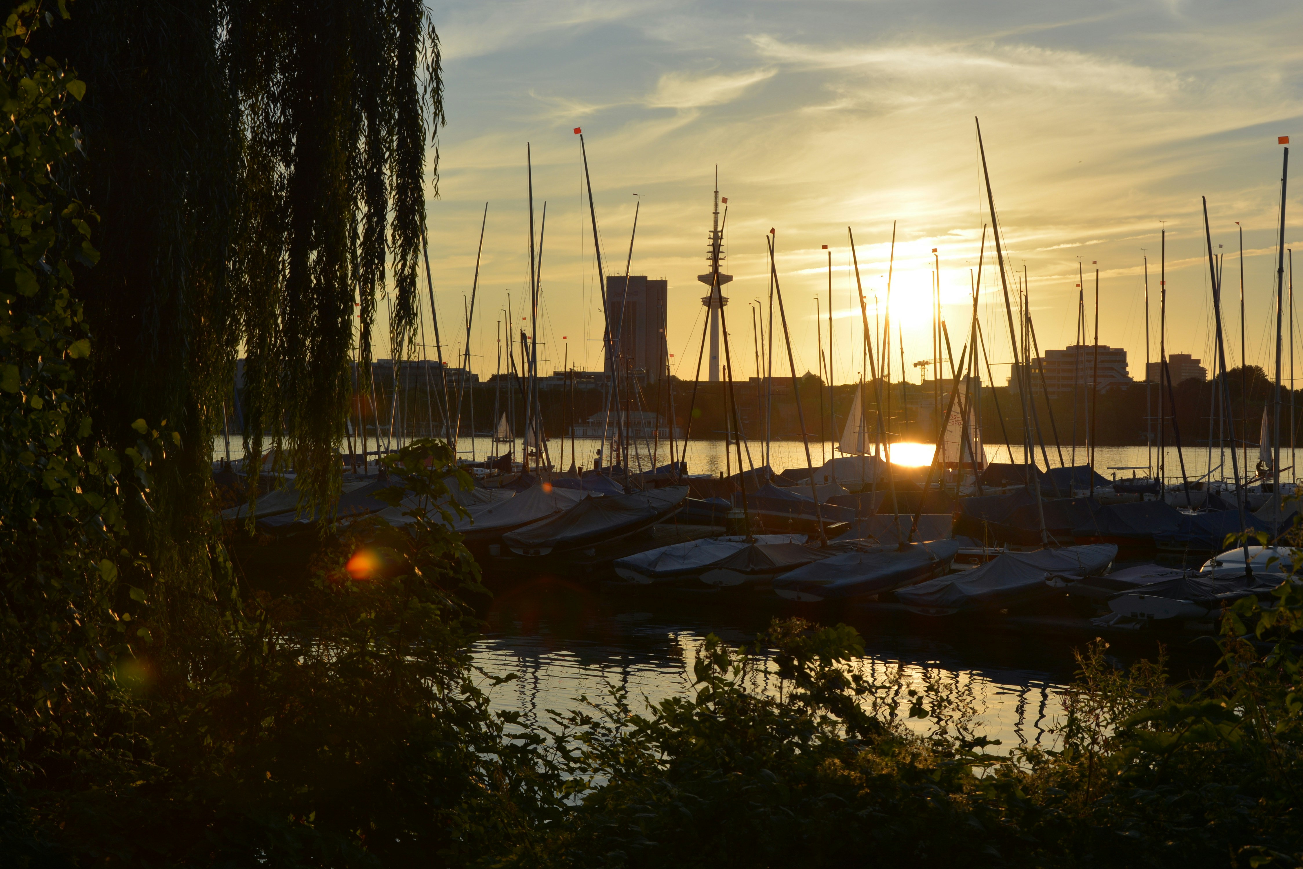 Free Unsplash photo from Caroline Duchesnes