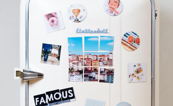 assorted-type photos stick on white single-door refrigerator