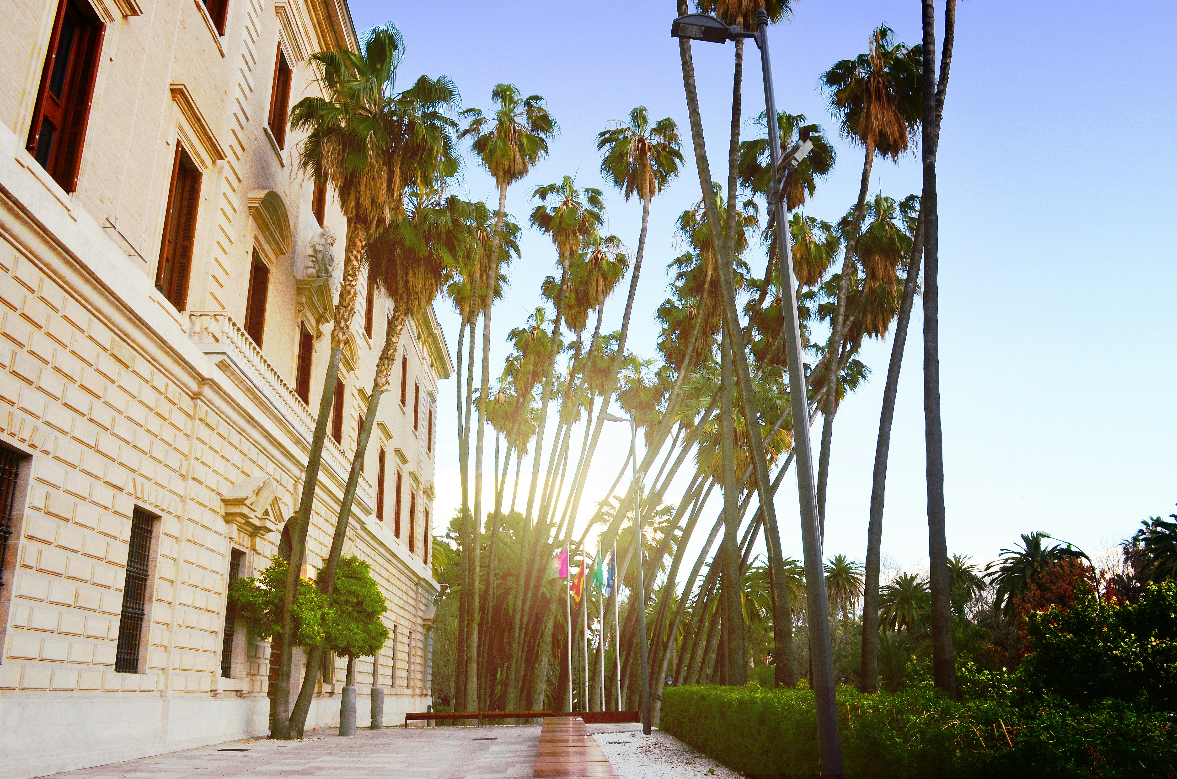 Free Unsplash photo from Rosina Henninger