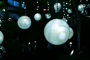 A cinematic scene showcasing a beautifully lit outdoor shoot.