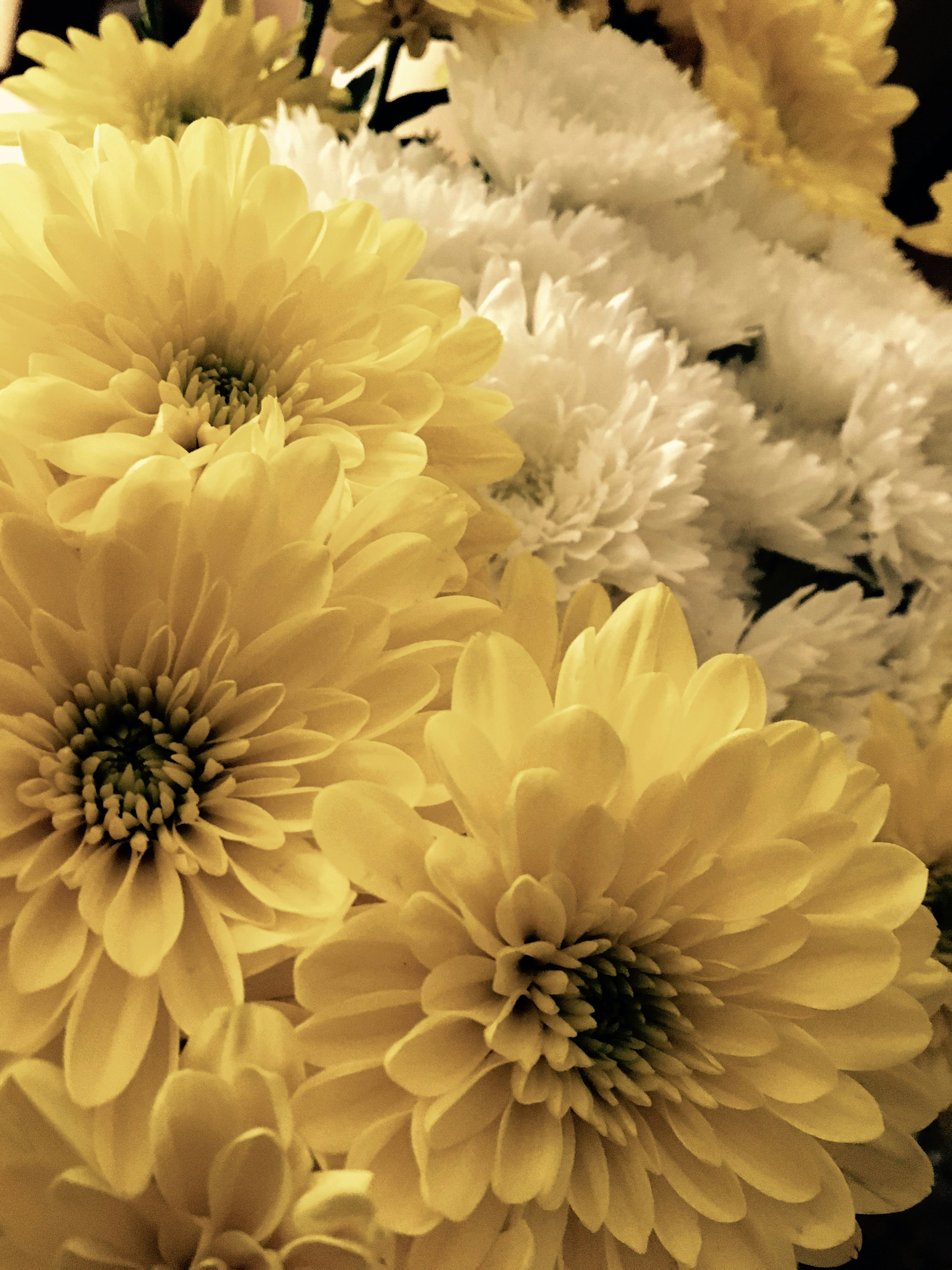 Free Unsplash photo from dsa adssd